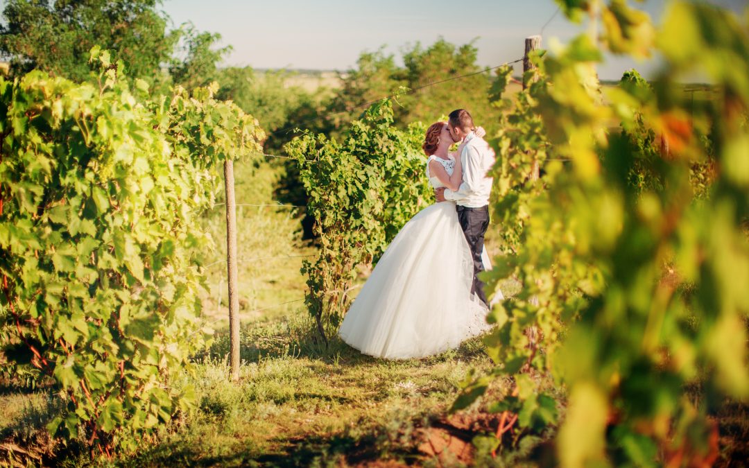 Outdoor Wedding Venues in Memphis Tn